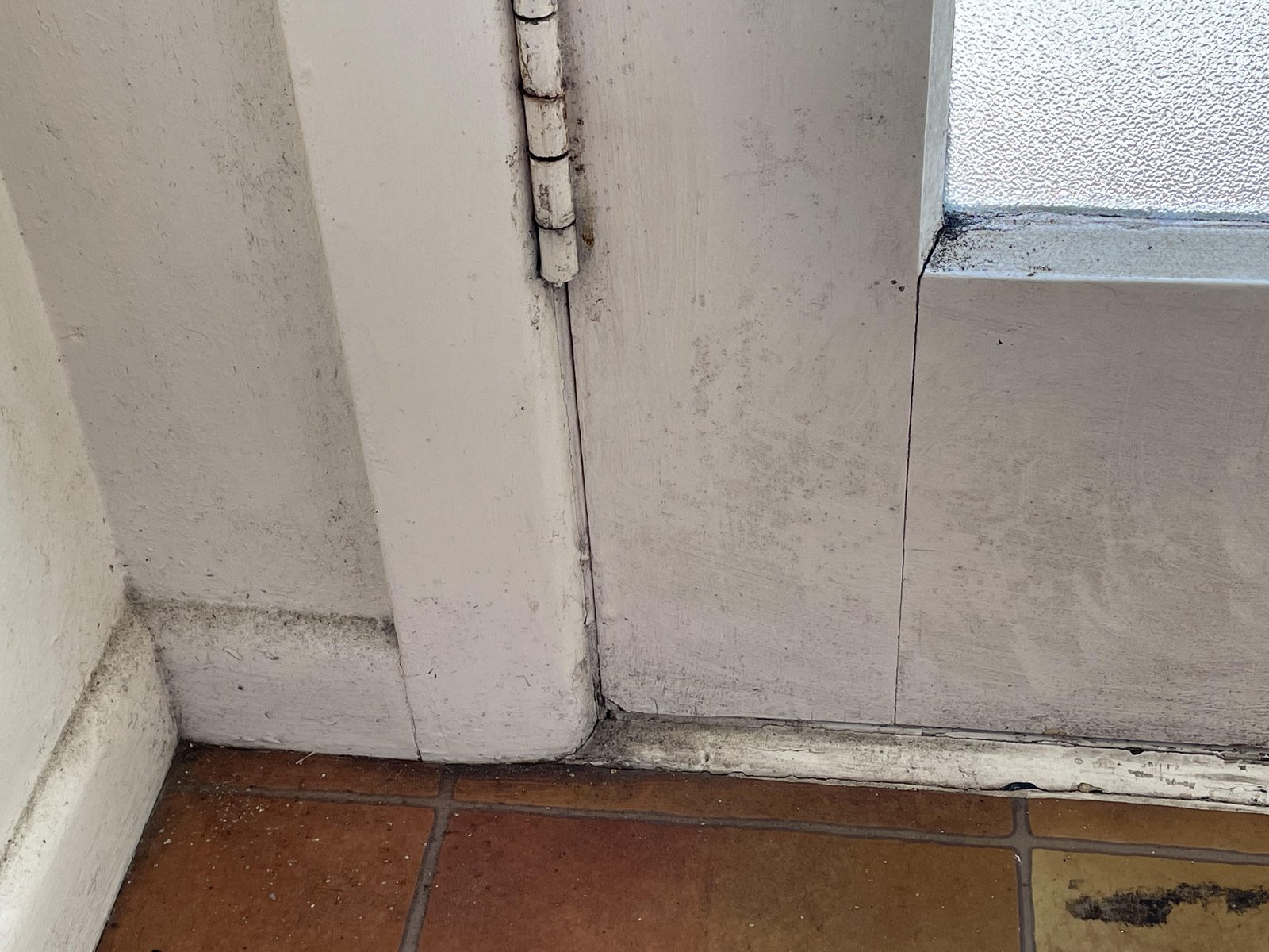 Mould bleeding through painted-over skirting at a Scaada NZ inspection site