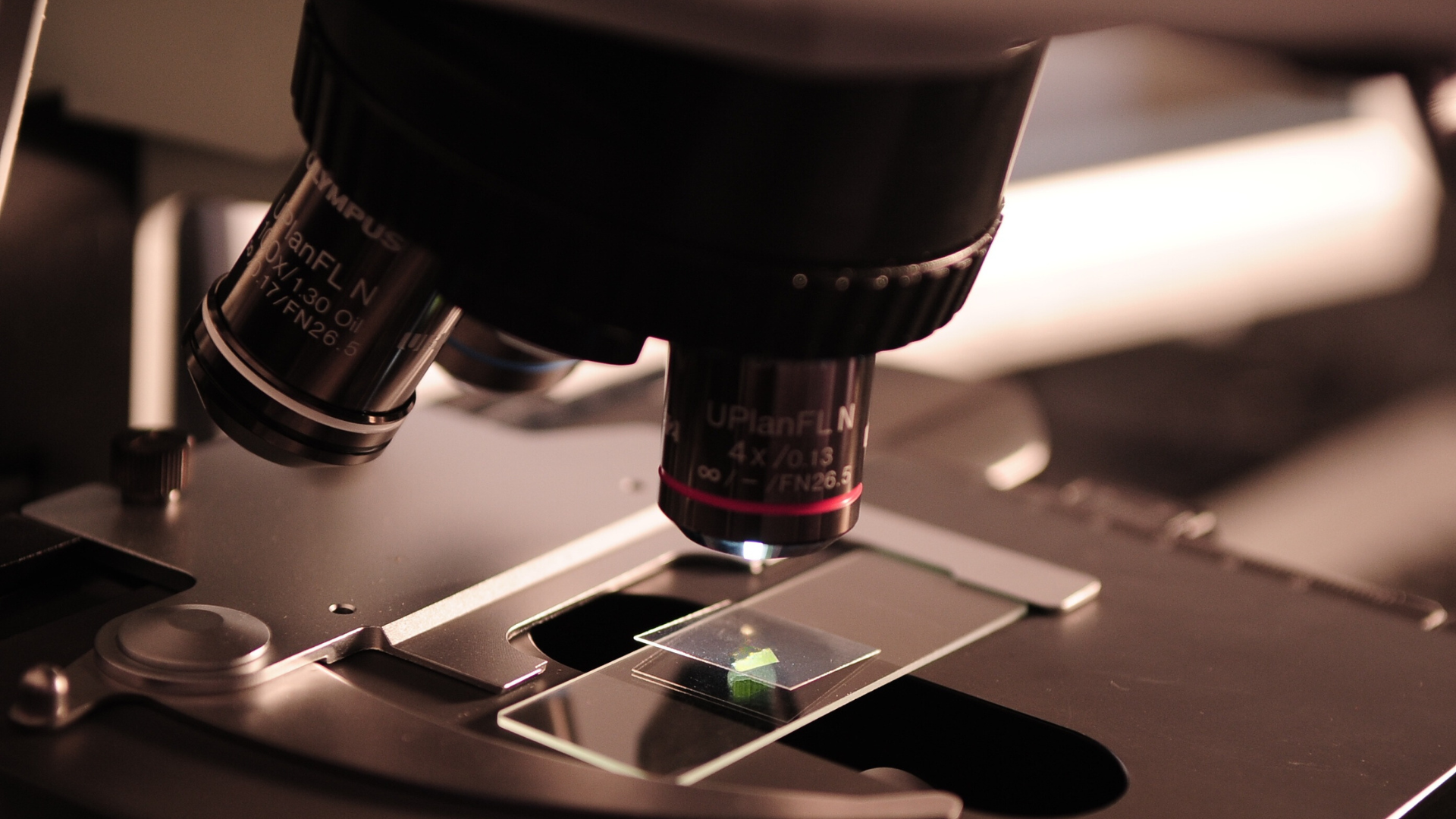 Expert mould consultation