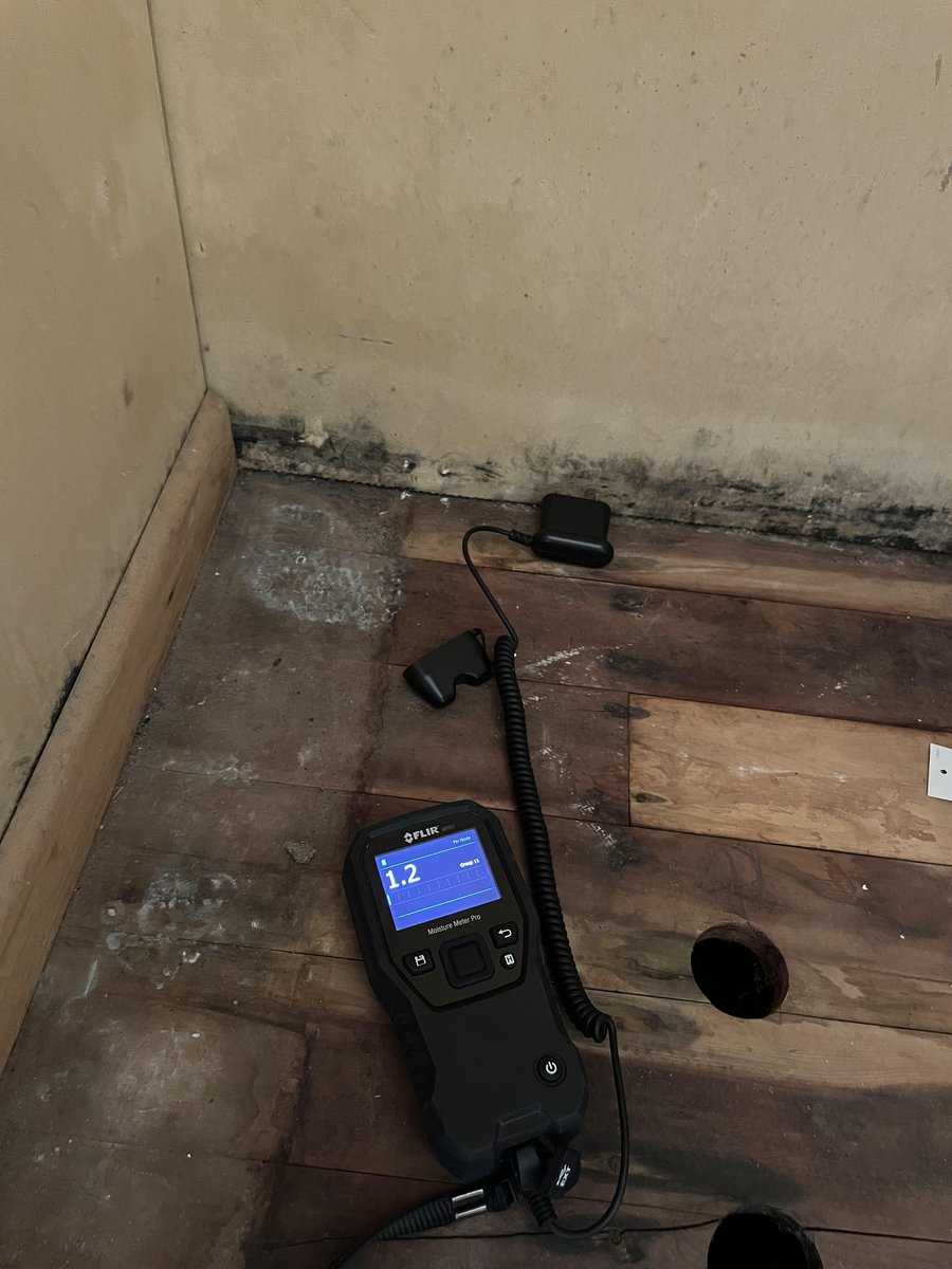 Moisture meter recording timber moisture content during a Scaada NZ inspection