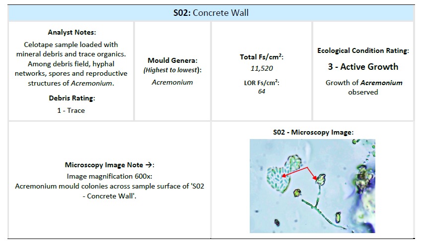 Extract from a Scaada NZ mould test report showing an IICRC S520 condition rating