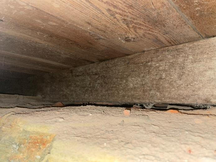 Mould growth on subfloor timbers in a New Zealand residential property